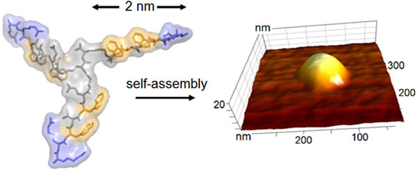 The chemical structure of the nanoscale building block (left) and its assembly into a virus-like capsule (right, topographic AFM image)Picture